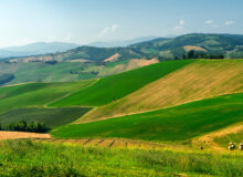 vista